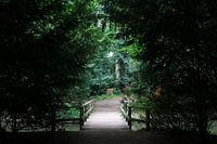 Mystical Bridge
