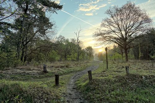 Le chemin vers le lever du soleil