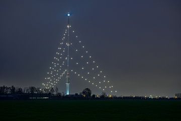 Le plus grand sapin de Noël du monde brille à nouveau au-dessus d'Utrecht