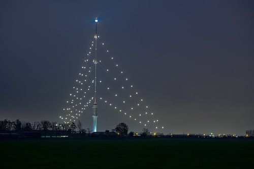Le plus grand sapin de Noël du monde brille à nouveau au-dessus d'Utrecht