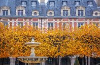 Herfst op Place des Vosges, Parijs van Christian Müringer thumbnail