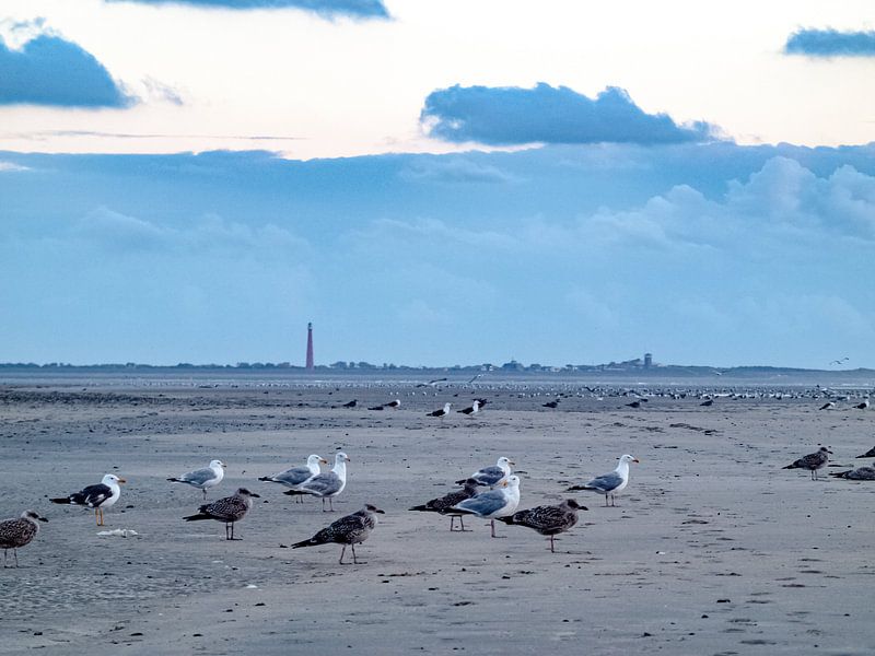 The Hors Texel by Mr White Takes Pictures