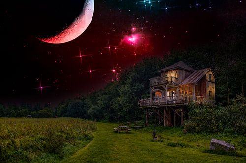 Nachtscène van een boomhut aan een bosrand met maan en heldere fonkelende sterren