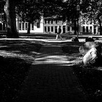 Stiller Spaziergang im Park