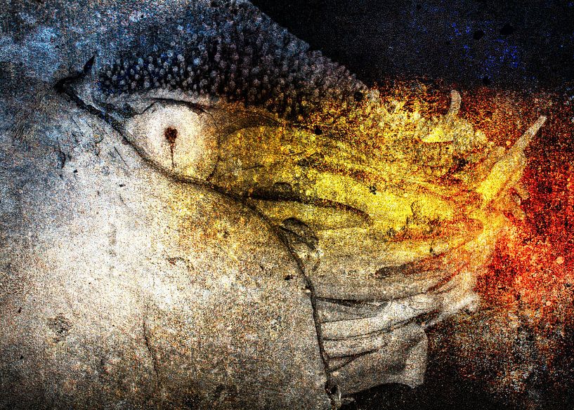 Nautilus by Jeanne Figdor