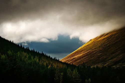 Bergen en bomen in Schotland - Cairngorms National Park