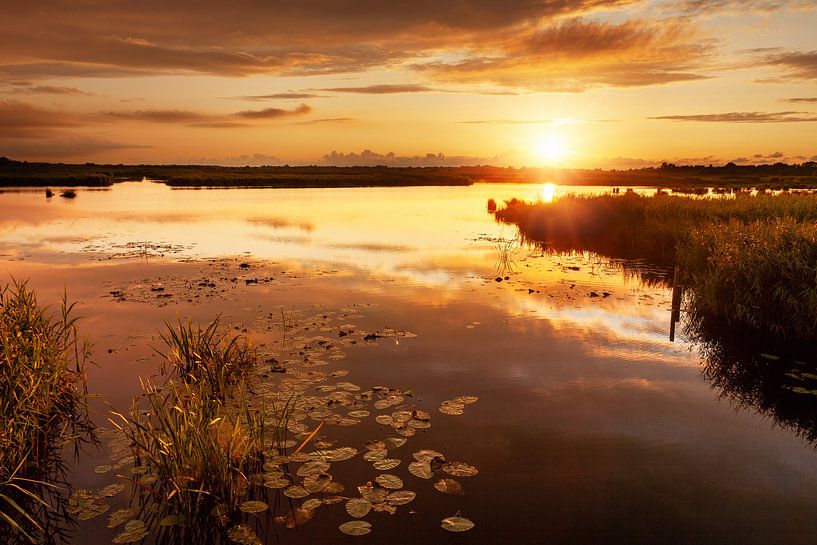 Der goldene Sonnenuntergang Das Onland von R Smallenbroek