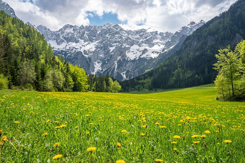 Zgornje Jezersko vallei in de lente van Sjoerd van der Wal Fotografie