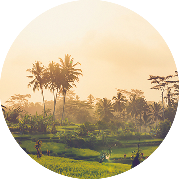 Uitzicht over de rijstvelden van Ubud op Bali Indonesie van Michiel Ton
