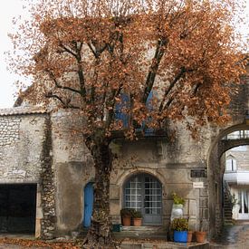 The house with the blue shutters von Annemieke Linders