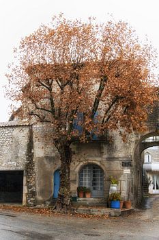 The house with the blue shutters