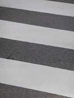 Zebrapad