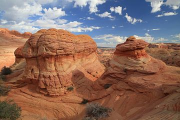 Rock formations in the North Coyote Buttes, part of Vermilion Cliffs National Monument. This area is by Frank Fichtmüller