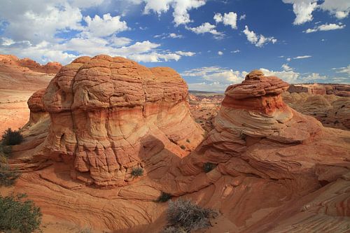 Formations rocheuses dans les North Coyote Buttes, qui font partie du Vermilion Cliffs National Monu