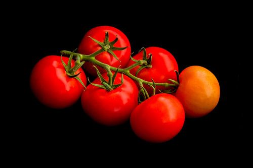 Trostomaten van dichtbij