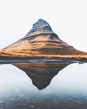 Reflecterende top: IJslands rust van fernlichtsicht