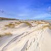Formation de jeunes dunes à Texel. sur Justin Sinner Pictures ( Fotograaf op Texel)