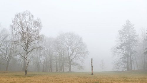 Kofferraum im Nebel