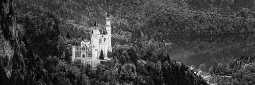 Panorama van het kasteel Neuschwanstein in Zwart-Wit