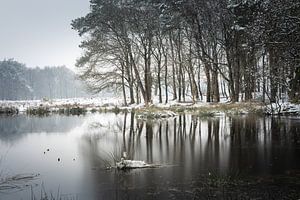 Terhorsterzand hivernal - Silence glacé et atmosphère suédoise