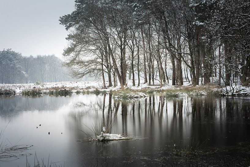 Wintry Terhorsterzand - Frozen Silence and Swedish Atmosphere by KB Design & Photography (Karen Brouwer)