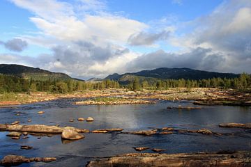 Hardangervidda Norway