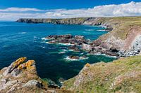 Lizard point