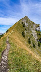 Sommet de la Suggiture près d'Interlaken en Suisse