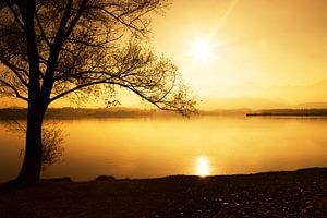 Silhoutte im Sonnenuntergang
