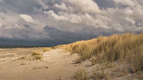 Op het Oostzeestrand met duinen
