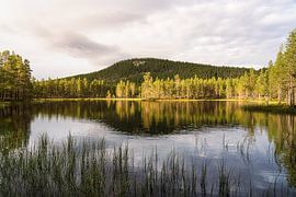 Sérénité Nordique | Reflets dans la Nature de Dalarna sur Dylan Winter Visuals