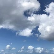 Sander de Groot Profile picture