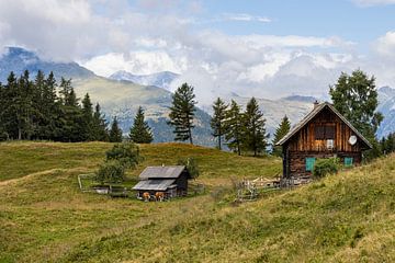 Alpenweide bij Tangern Millstätter See van Sander Groenendijk