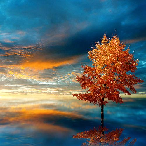 Automne bleu