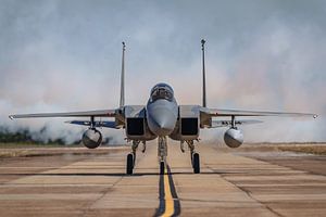 Bayou Militia McDonnell Douglas F-15C Eagle.