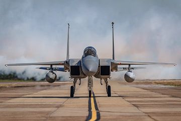 Bayou Militia McDonnell Douglas F-15C Eagle. by Jaap van den Berg