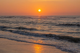 Golden Tide by Ellen Richey Photography