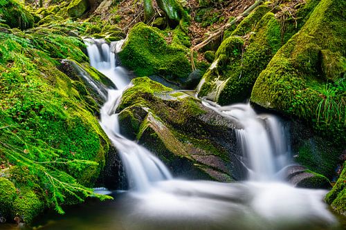 Un petit ruisseau dans la Forêt-Noire