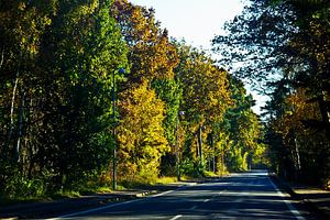 Herbstliche Strasse
