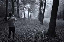 mal schnell ein Foto von der Lichtshow im Wald machen von Peter Heins