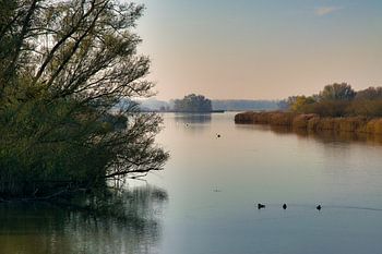 Maartensgat Sud - Dordrecht