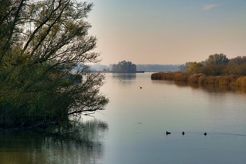 Süd-Martensgat - Dordrecht von Bert Seinstra