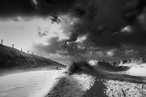 littoral plage et dune avec beaucoup de vent sur eric van der eijk