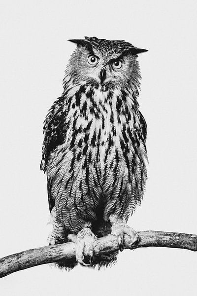Fine-art portret van een Oehoe (uil) in Zwart wit van Lotte van Alderen