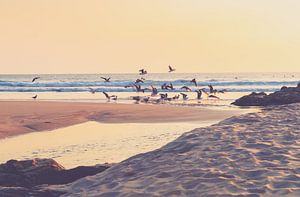 Zonsondergang op het strand