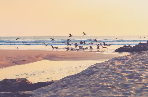 Coucher de soleil sur la plage