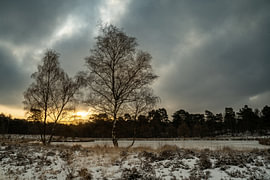 Duuvels Kuul im Schnee von Johannes Jongsma