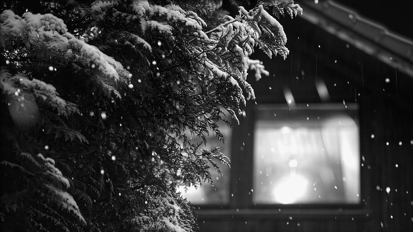 Bright light in cold night by Frank Heinz