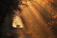 Autumn school run - Gasselte, Drenthe by Bas Meelker thumbnail