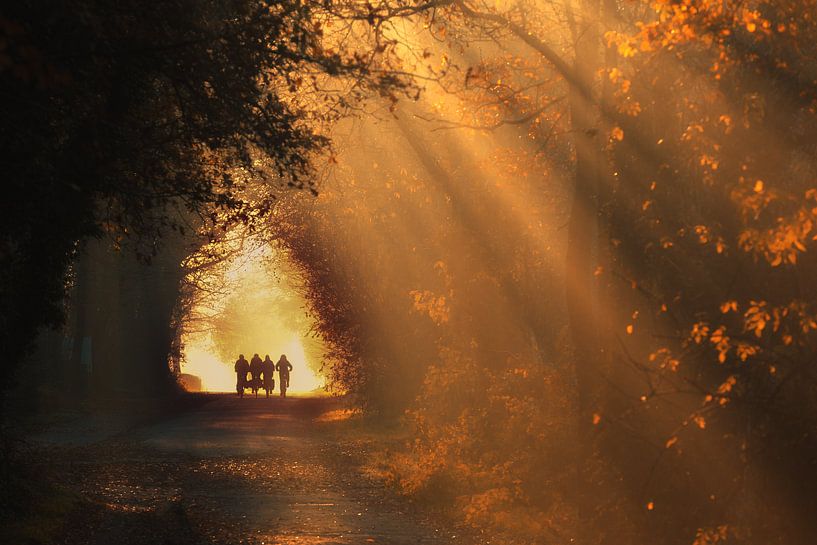 Autumn school run - Gasselte, Drenthe van Bas Meelker